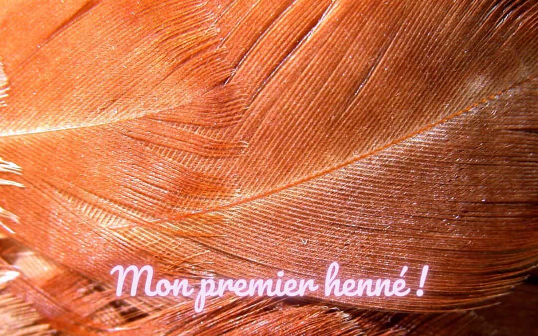 Cheveux – Mon premier henné !